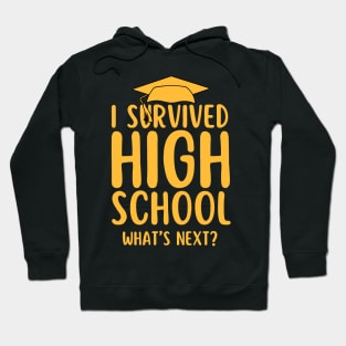 I Survived High School Graduation Funny Class of 2024 Graduate Student Gift Hoodie